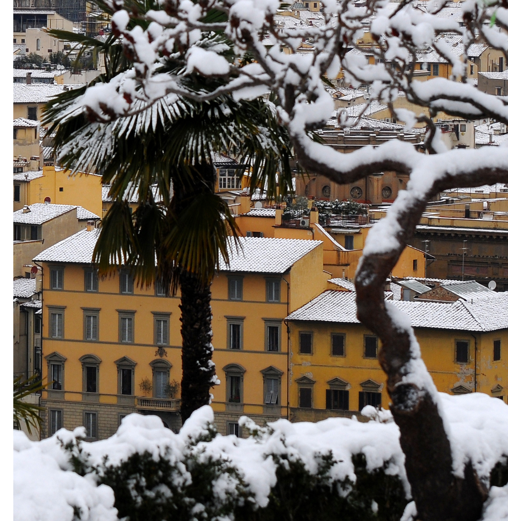 Snow, Health and Death in Florence - CSMBR