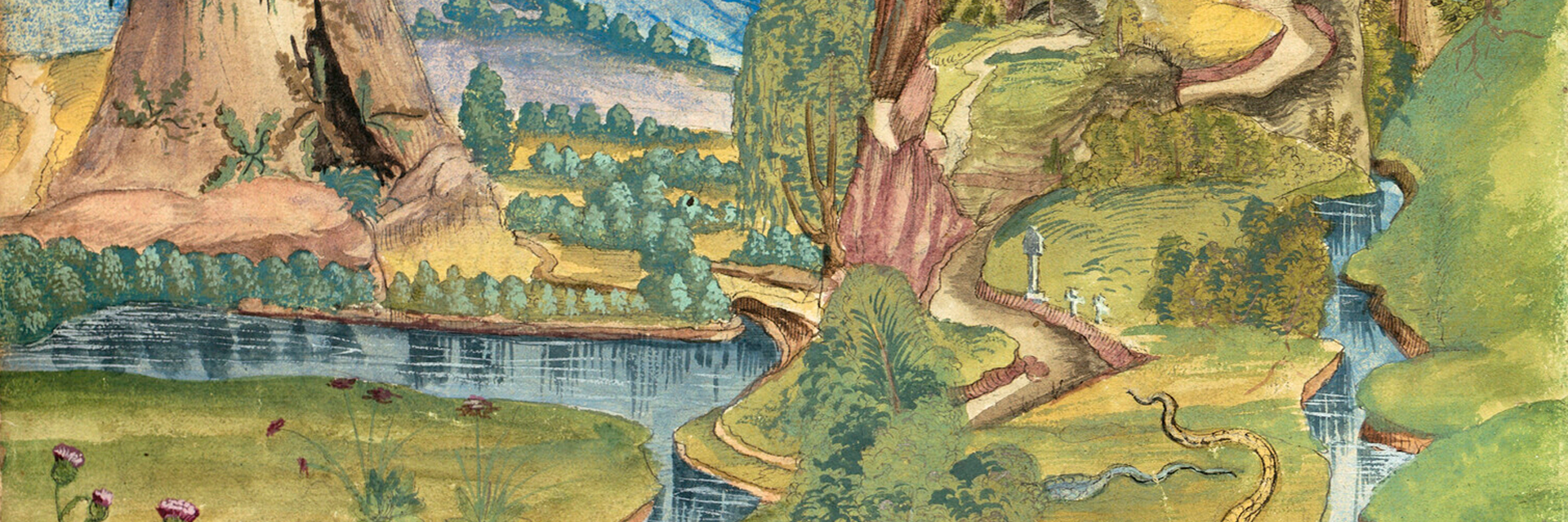 Natural History on the Island of Ambon