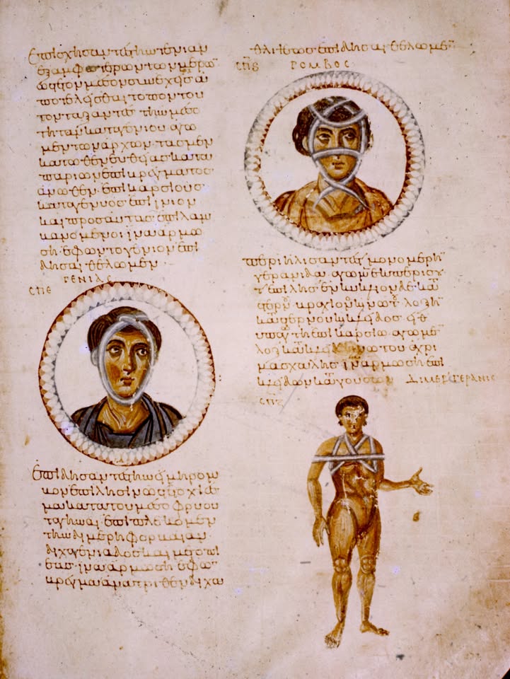 Centre for the Study of Medicine and the Body in the Renaissance - CSMBR